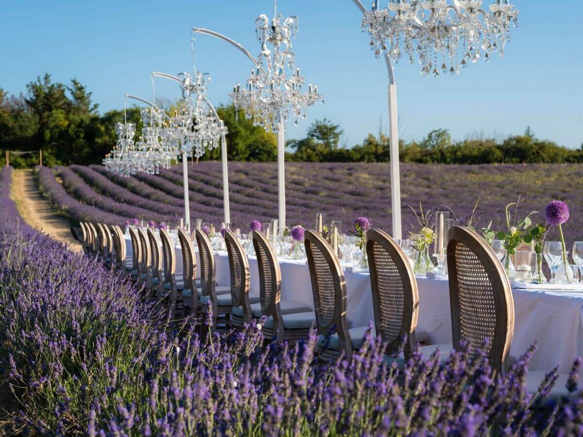 boda hotel premium